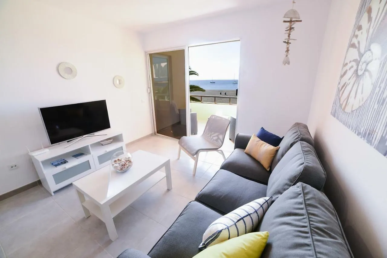 Apartamentos Ocean View contacts